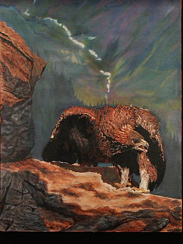 "The Fledgling" - Eagle - Golden Eagle fledgling by Eva Stanley