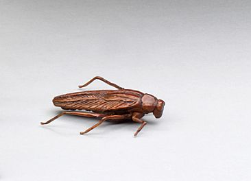 La Cucaracha - Cockroach by Eva Stanley