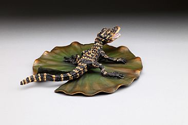 This is my 'Pad' - American Alligator Hatchling/ Lilypad by Eva Stanley