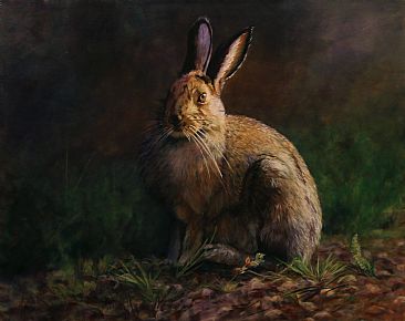 Waiting for Alice - Showshoe Hare by Anni Crouter