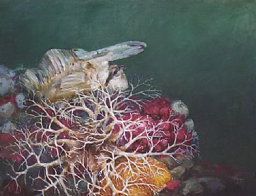 Sailfin Sculpin - Pacific Northwest marine life by Mary Jane Jessen