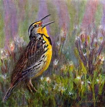 Belting Out a Tune - Western Meadowlark sing in sage country by Kim Middleton