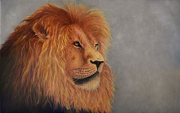 King of the Pride - wild life by Jerry Venditti