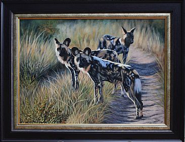 Dappled dogs at first light - African Wild dogs by Ilse de Villiers