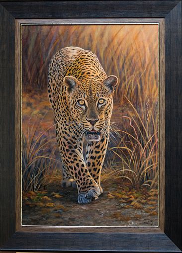 That stare - Leopard by Ilse de Villiers