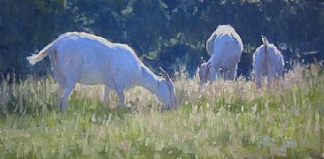 Wild Oats - Boer Goats by Kathleen Dunphy