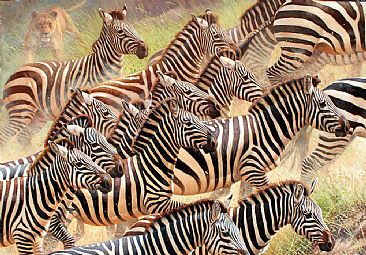 Ambush! - zebras by Cynthie Fisher