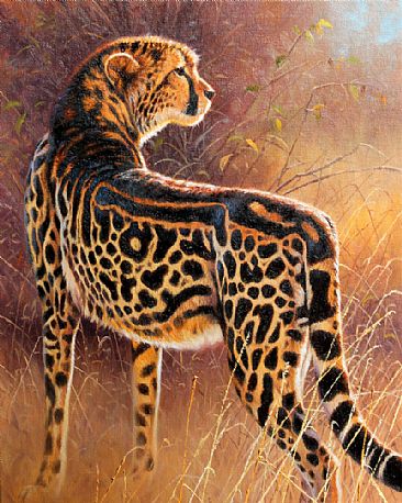 Royalty-King Cheetah - king cheetah by Cynthie Fisher