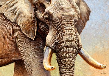 Old And Wise - elephant by Cynthie Fisher