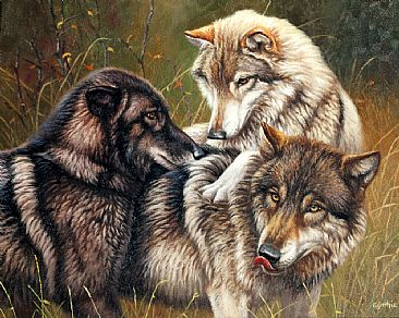 Dogpile On Dad - grey wolves by Cynthie Fisher