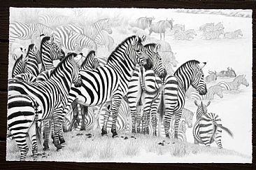 Into The Fray - zebra herd by Cynthie Fisher