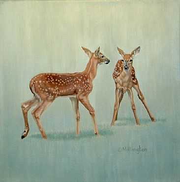 Summer Fun - Whitetail Fawns by Marti Millington