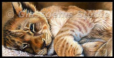 A Lion Sleeps Tonight - Lion Cub by Gemma Gylling