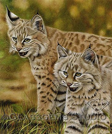 Double Trouble - Bobcat Kittens by Gemma Gylling
