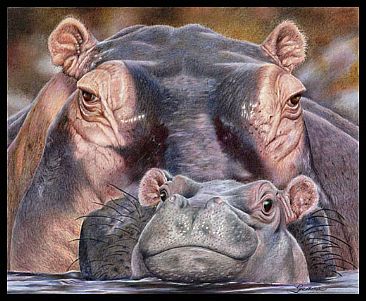 Baby Face - Hippos by Gemma Gylling