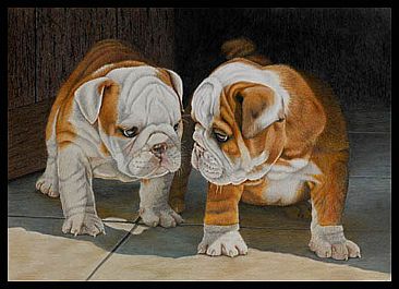 Puppy Love - English Bulldog Puppies by Gemma Gylling