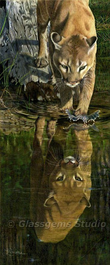 Reflections - Mountain Lion by Gemma Gylling