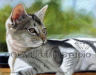 Sunshine at the Window Sill - Domestic Cat by Gemma Gylling