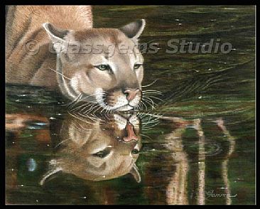 Wild Reflections - Mountain Lion by Gemma Gylling