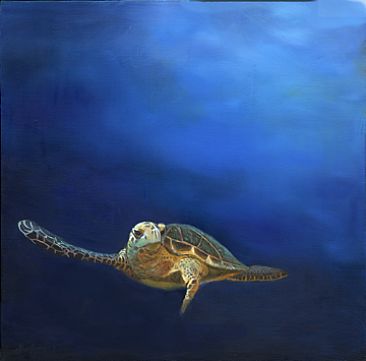 Blue Beyond - Hawksbill Sea Turtle by Dianne Munkittrick