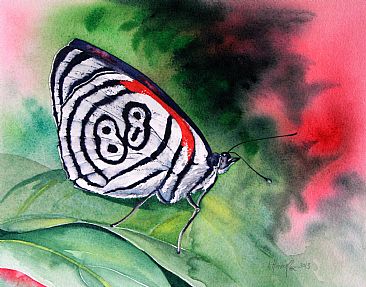  - Brazilian butterfly by Kitty Harvill