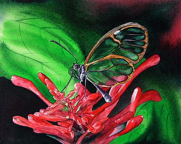 Episcada hymenaea - Brazilian butterfly by Kitty Harvill