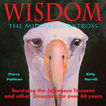 WISDOM, the Midway Albatross - The story of Wisdom, a 60+ year-old Laysan albatross by Kitty Harvill