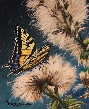 Thistle Down - Thistles & Butterfly by Cindy Sorley-Keichinger