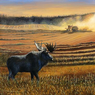 Conflict of Interest - Harvest scene with a moose looking on by Cindy Sorley-Keichinger