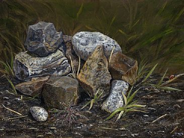 Ladybug Mountains - rocks and a ladybug by Cindy Sorley-Keichinger