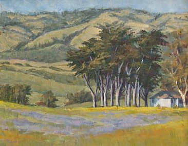 Windswept - Landscape near Cambria, CA by Sandra Place