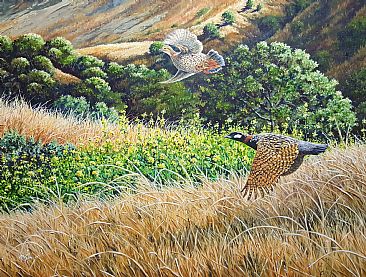 The take off - Black francolin by Ahsan Qureshi