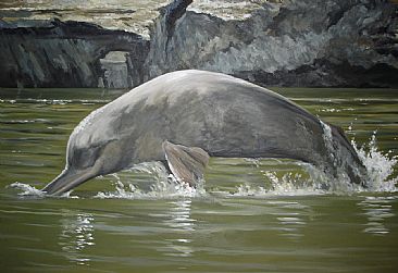 Eroding banks, river indus - Indus blind dolphin by Ahsan Qureshi