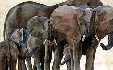Elephant Family an a Hot Afternoon - Elephant breeding herd from Zambia by Linda DuPuis-Rosen
