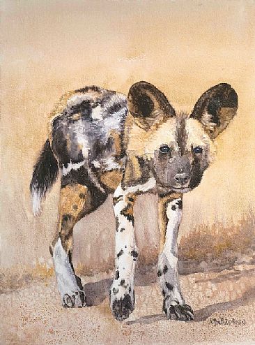 Wild Dog Puppy - African wild dog endangered by Linda DuPuis-Rosen