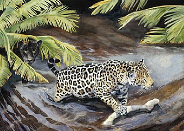 Jaguar at the River - A jaguar does not hesitate to cross a river in search of pray by Linda DuPuis-Rosen