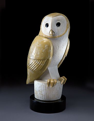 The Untypical Owl - Barn Owl by Ellen Woodbury