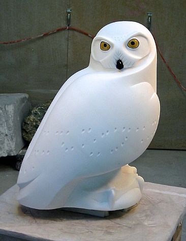 The King of Winter - snowy owl by Ellen Woodbury
