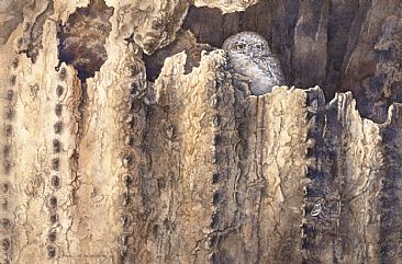 Saguaro Sentinel (SOLD) - Elf Owl (Micrathene whitneyi) and Tricolor Buckmoth (Hemileuca tricolor) by Linda Feltner