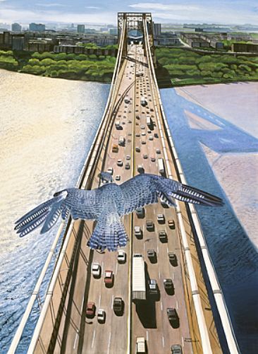 Peregrine Falcon soaring over George Washington Bridge - peregrine falcon by James Fiorentino