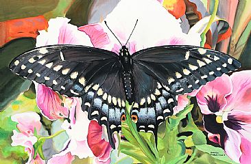 Black Swallotail - Black Swallowtail by James Fiorentino