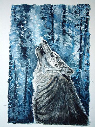 Loup gris -  by Christian Dache