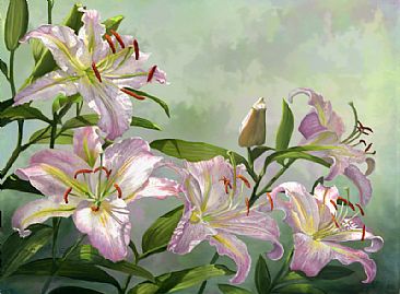  - Lilies by Taylor White