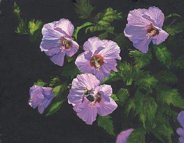 Rose of Sharon - Flora and Fauna etc by Taylor White