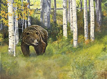 Through the Golden Gate - Grizzly emerging from an Aspen grove. by Taylor White