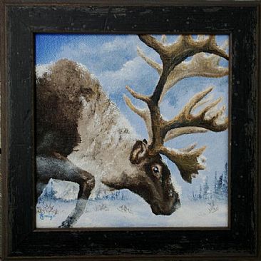 Enduring Hardship - Woodland Caribou by Jason Kamin