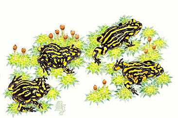Scramble! SOLD - Southern Corroboree Frogs (Pseudophryne corroboree) by Laura Grogan