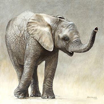 The Orphan - Portrait of a baby elephant by Rob Dreyer