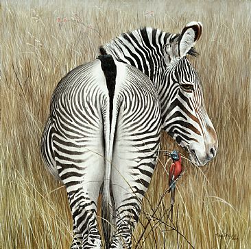 Grevy & The Bee Eaters - Grevy's Zebra and Northern Carmine Bee Eaters by Rob Dreyer