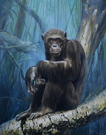 Keeper of the Congo - Portrait of a Chimpanzee by Rob Dreyer